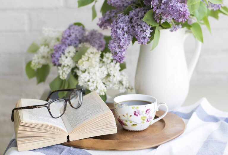 home staging agen maison langel