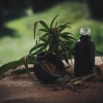 golden cbd