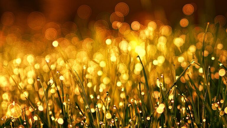 golden cbd