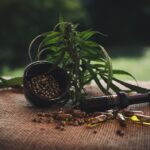 golden cbd